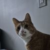 nick