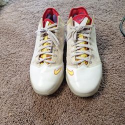 Nike Lebron James Fruity Pebbles