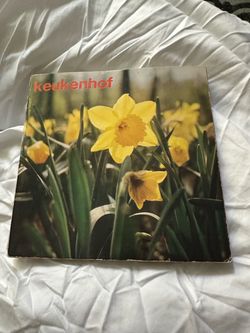Keukenhof Garden Vintage Booklet