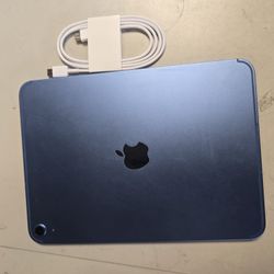 Ipad lastest model 11 th generation 256 gb wifi&cellular 100% battery life factory unlocked for all carriers including metropcs lycamobile simple mobi