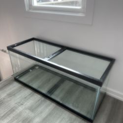 75 Gallon Tank Holds Water 