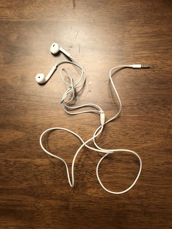 Apple Headphones no Mic