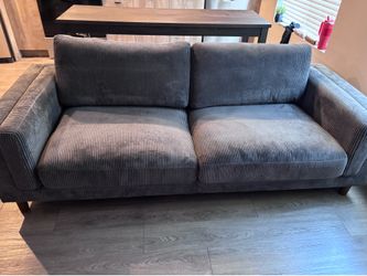 Gray couch