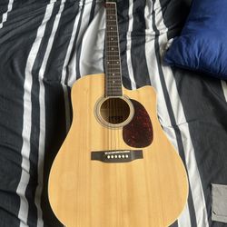 Rogue Acoustic Electric Guitar