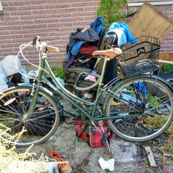 Green Ladies Critical Beaumont 7 City Bike For The Ultimate Riding Experience