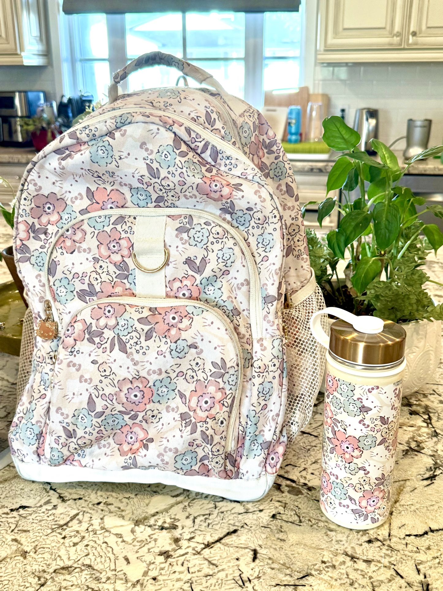 Pottery Barn Kids Hello Kitty Back Pack Lunchbox Water Bottle Set