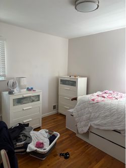 Free Bed frame twin