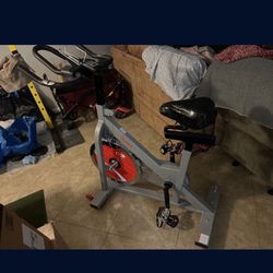 Sunny Belt Drive Pro II Indoor Cycling Bike 