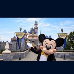 Disneyland Ticket