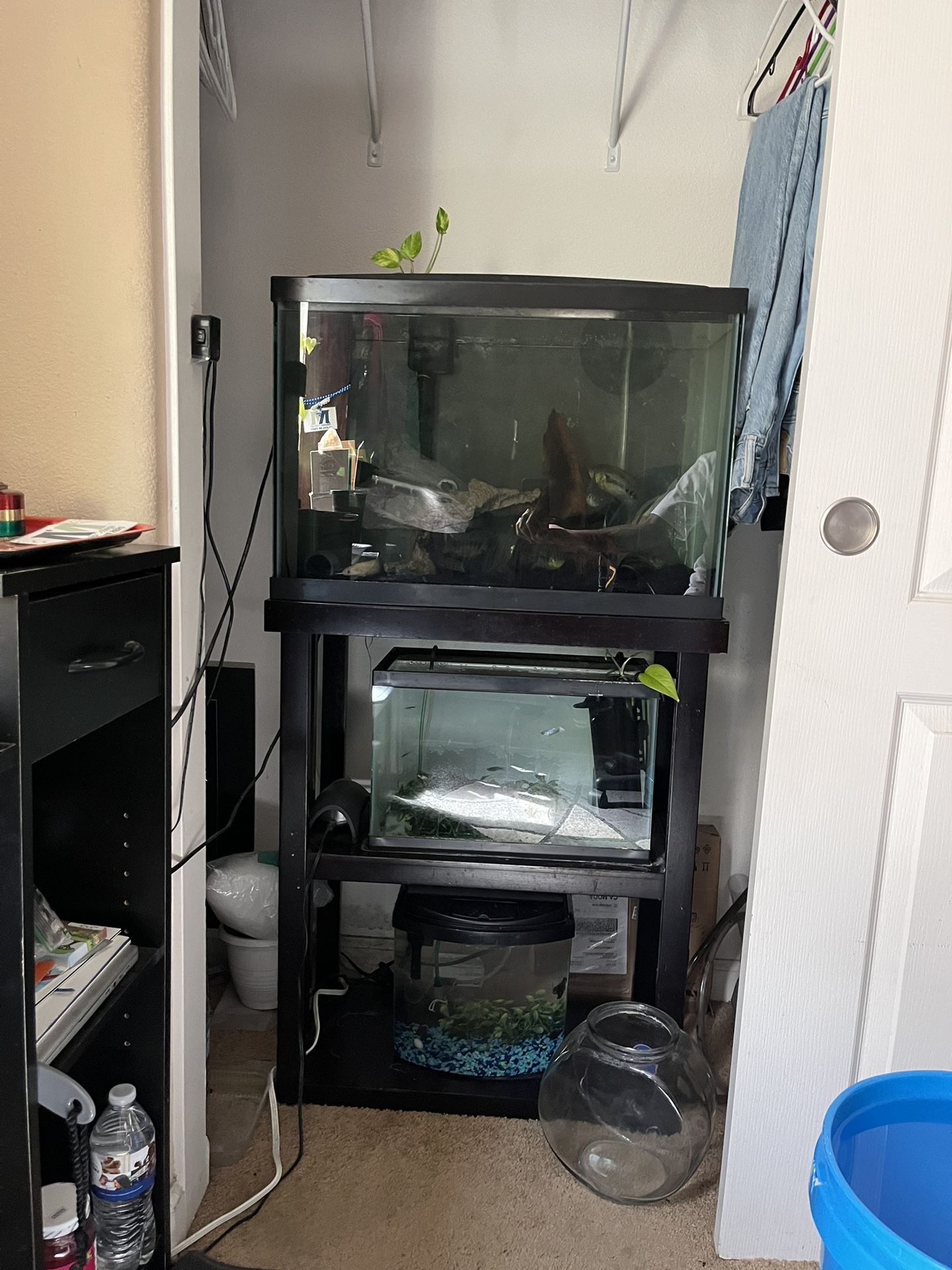 Fish Tanks And Decoration