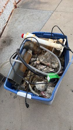 Live rock aquarium saltwater