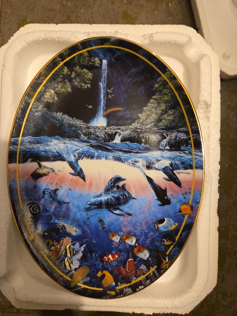 Collection Of Above And Below Marine Plate