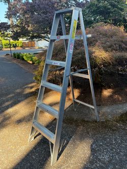 6ft step ladder