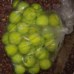50 High Quality Heavy Duty Slightly Used Tennis Balls