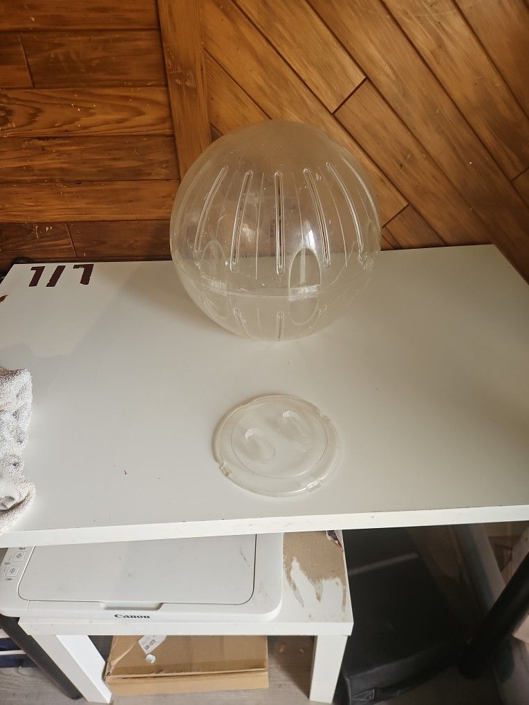 Pet Ball