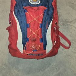 Chivas Backpack