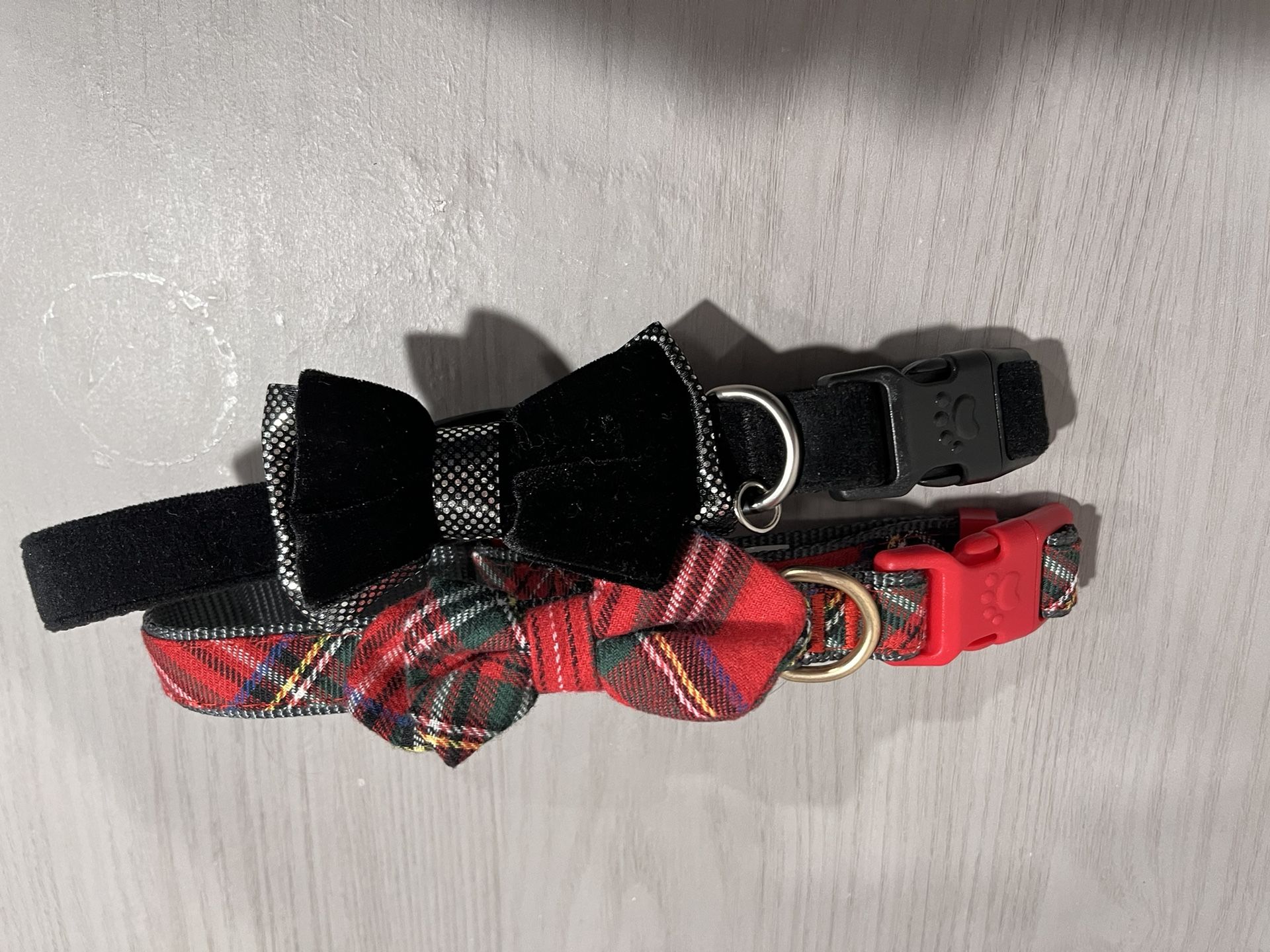 Dog Collars 