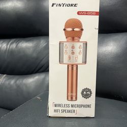 black finyiore wireless microphone hifi speaker