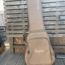 Taylor Travel Case Mini Gs