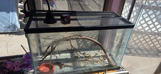 29 gallon aquarium terrarium