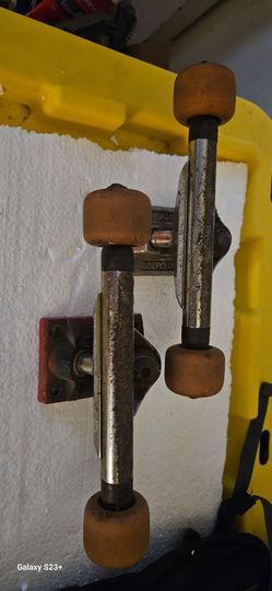 Skateboard trucks