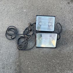 Lamps For A Fish Tank 