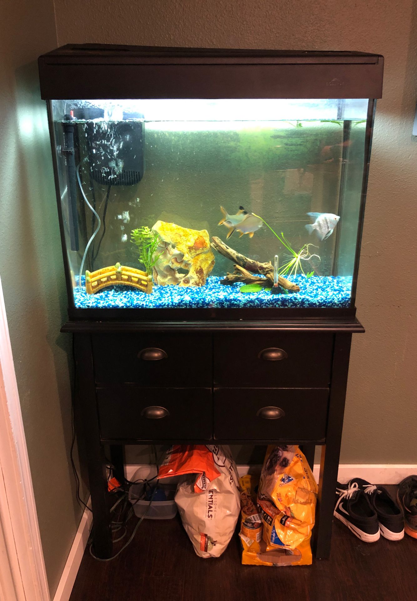 40 gallon tank