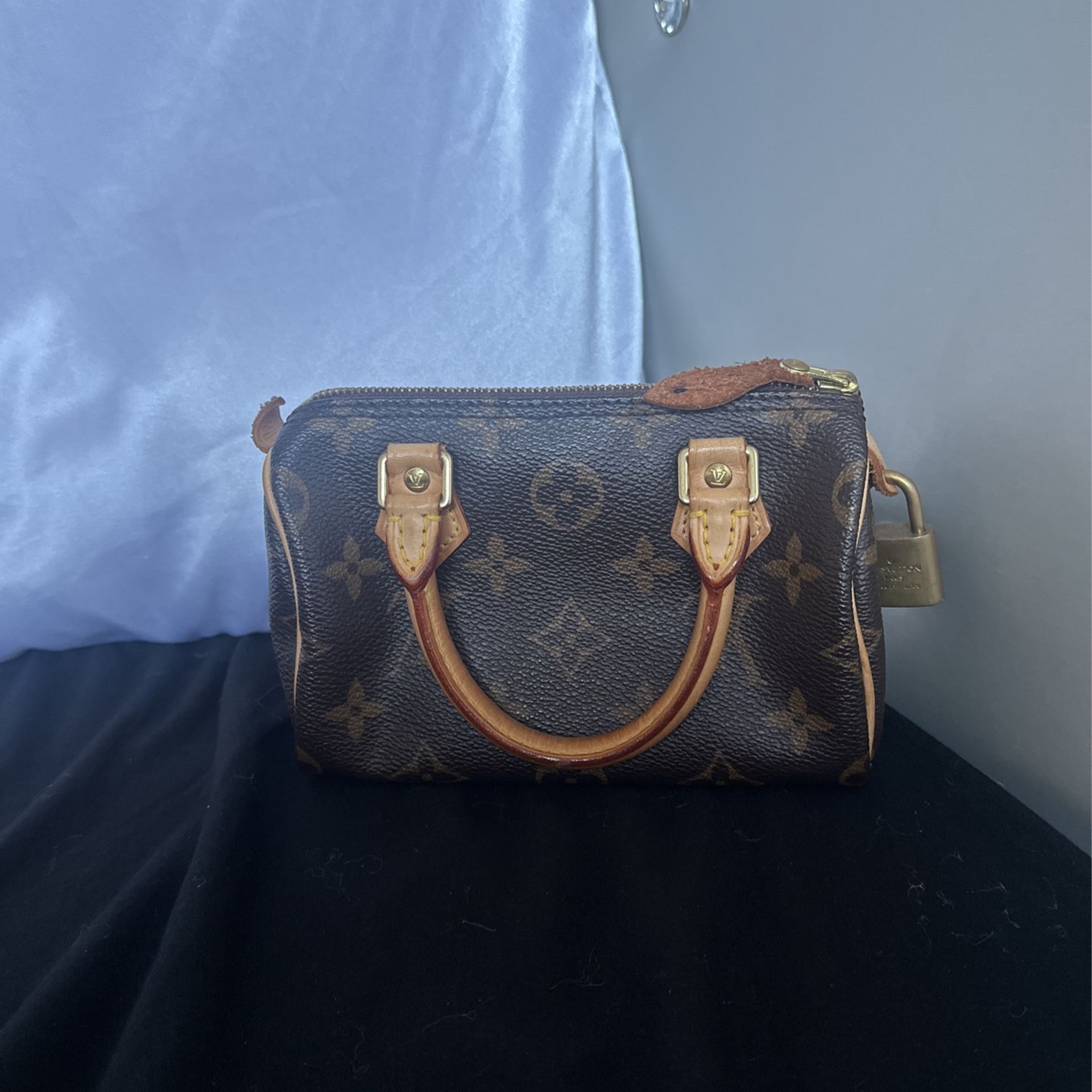 Louis Vuitton mini bag   