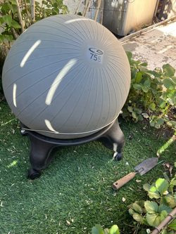 Champion 75 Cm Inflatable Balance Ball with a Rolling Base