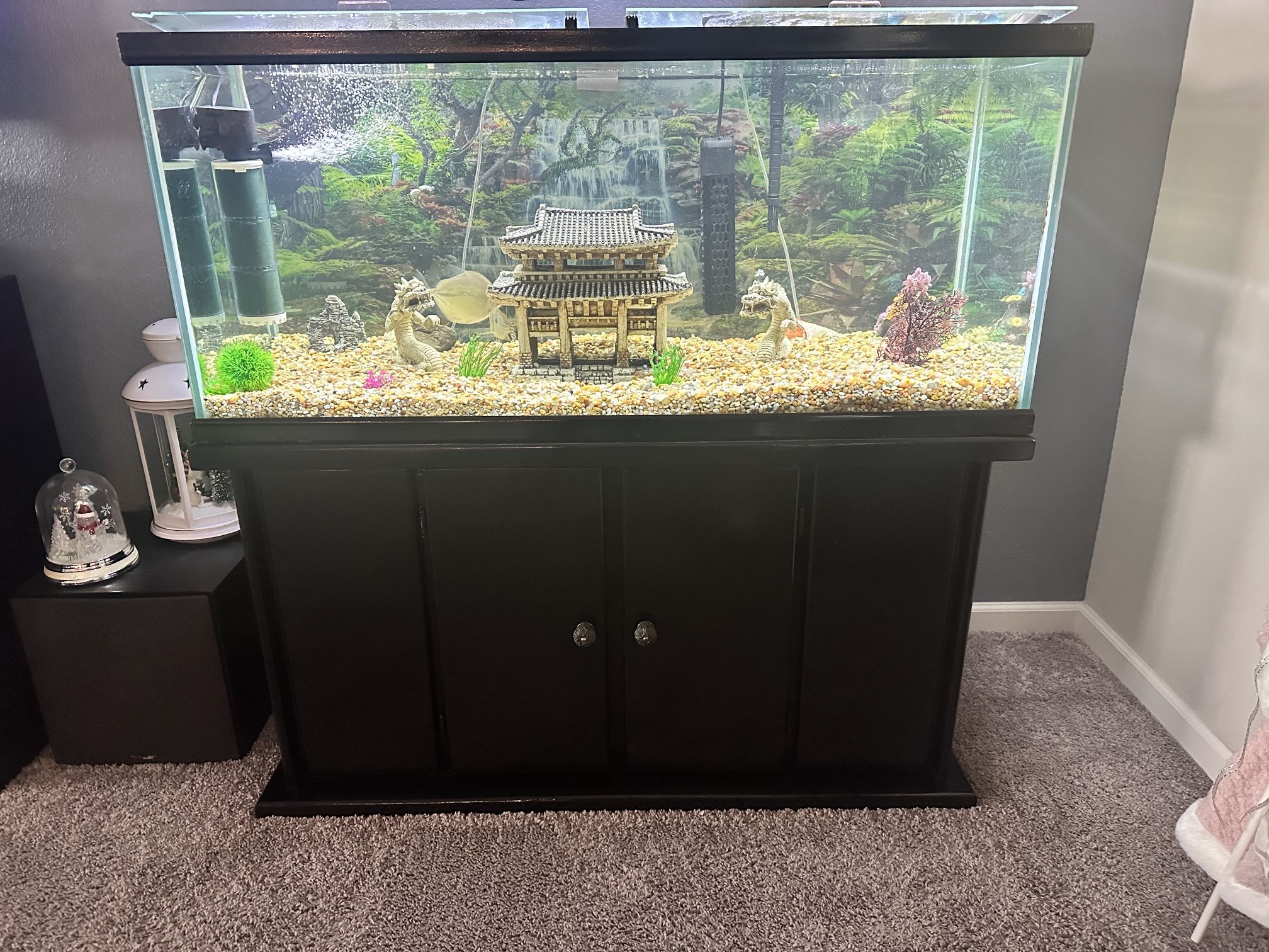 75 Gallon Fish Tank With Stand