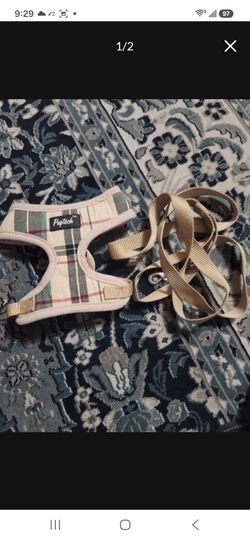 PUPTECK Dog Harness and Leash Set