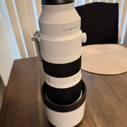 Sony Lense FE 200-600mm f/4.5-6.3 G OSS