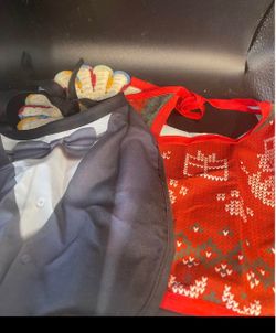 Pair of 2 Dog Bandanas
