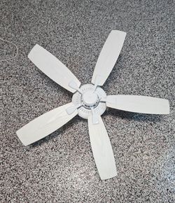 Celling Fan