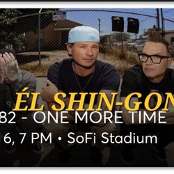 2 Tickets Blink 182 @ SoFi Stadium July 6 $200 Each