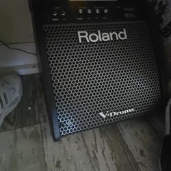 Brand New Roland Vdrum Monitor