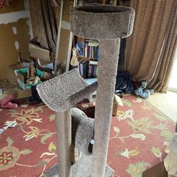 Cat condo 