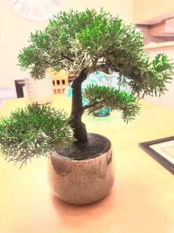 Artificial Bonsai Tree in Ceramic Pot