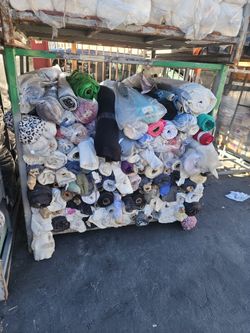 200 Dollars  Must Take  Full Rack