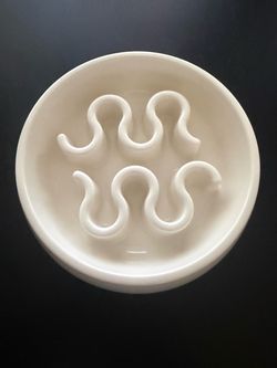 EveryYay Slow Feeder Pet Bowl