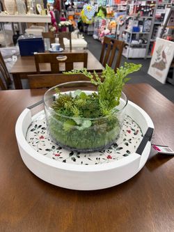 Large Clear Glass Terrarium - Threshold