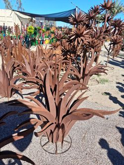 🌵Desert Showstoppers🌸Saguaros, Ocotillos & Barrel Cacti