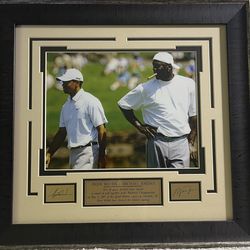Tiger Woods and Michael Jordan- Two of the sports greatest icons