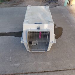 Dog Cage 