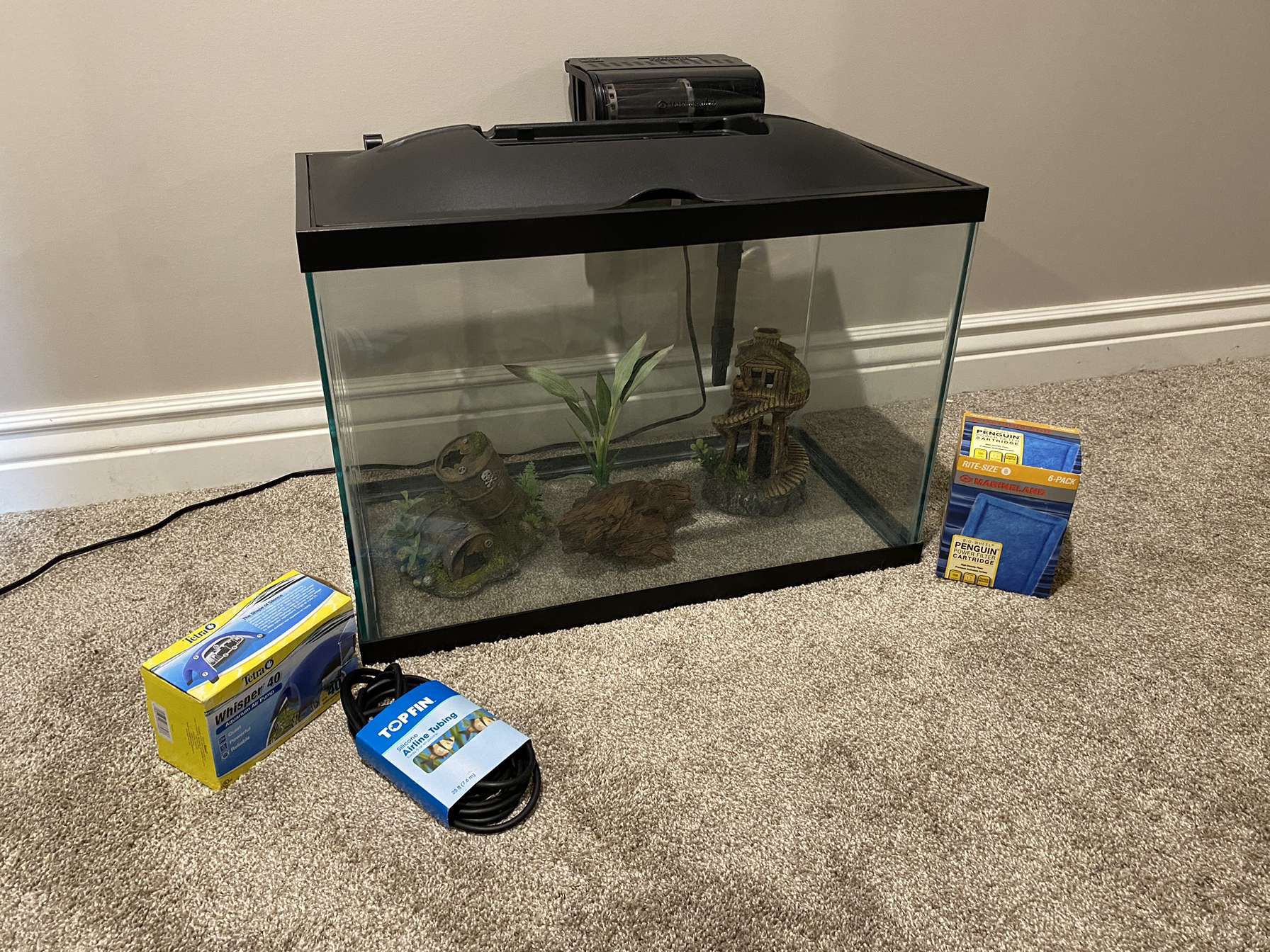 2gallon Fish Tank Setup 