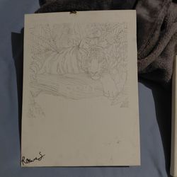A drawing of a tiger