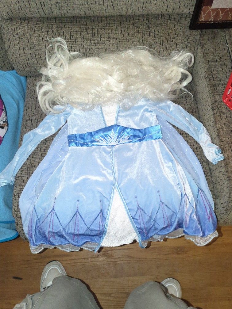 Frozen Costume