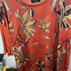 Zara Polo Ralph Lauren Hugo Boss $15 Each