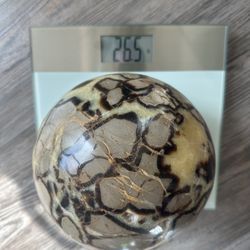Septarian Dragon Geode