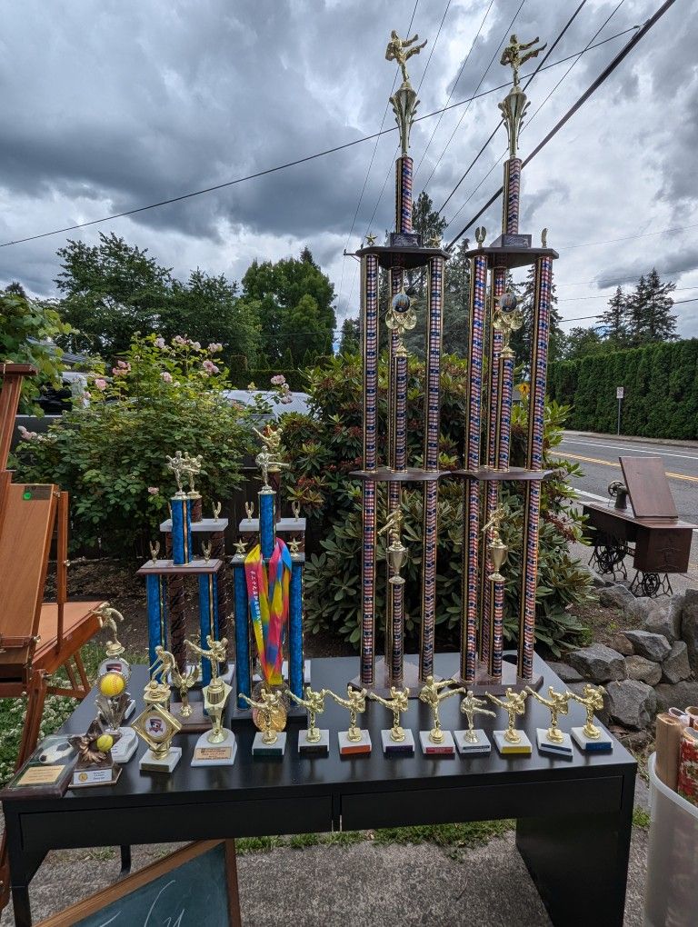 TROPHIES - Martial Arts, Taekwondo, Wushu